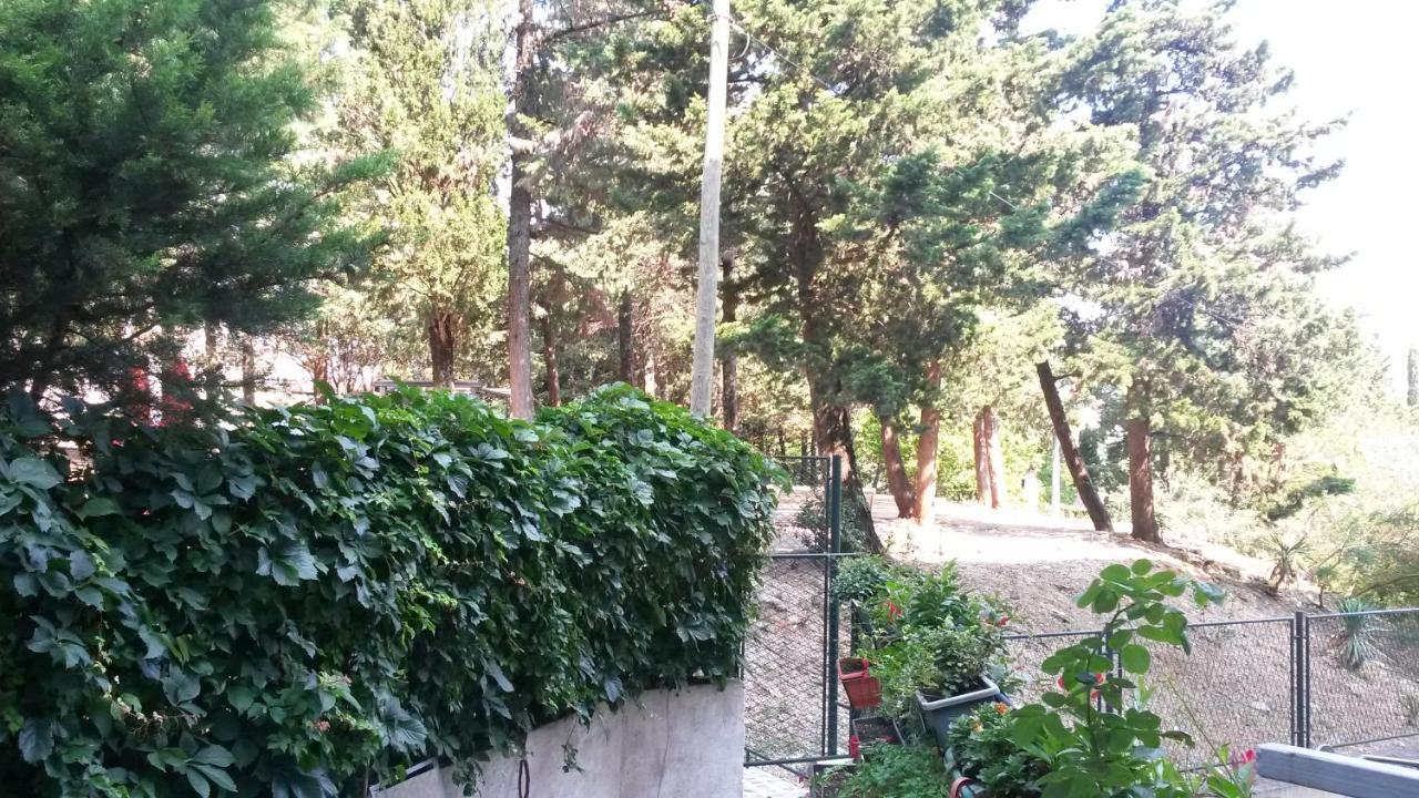 Anamarija Apartman ドゥブロブニク エクステリア 写真